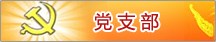 党支部
