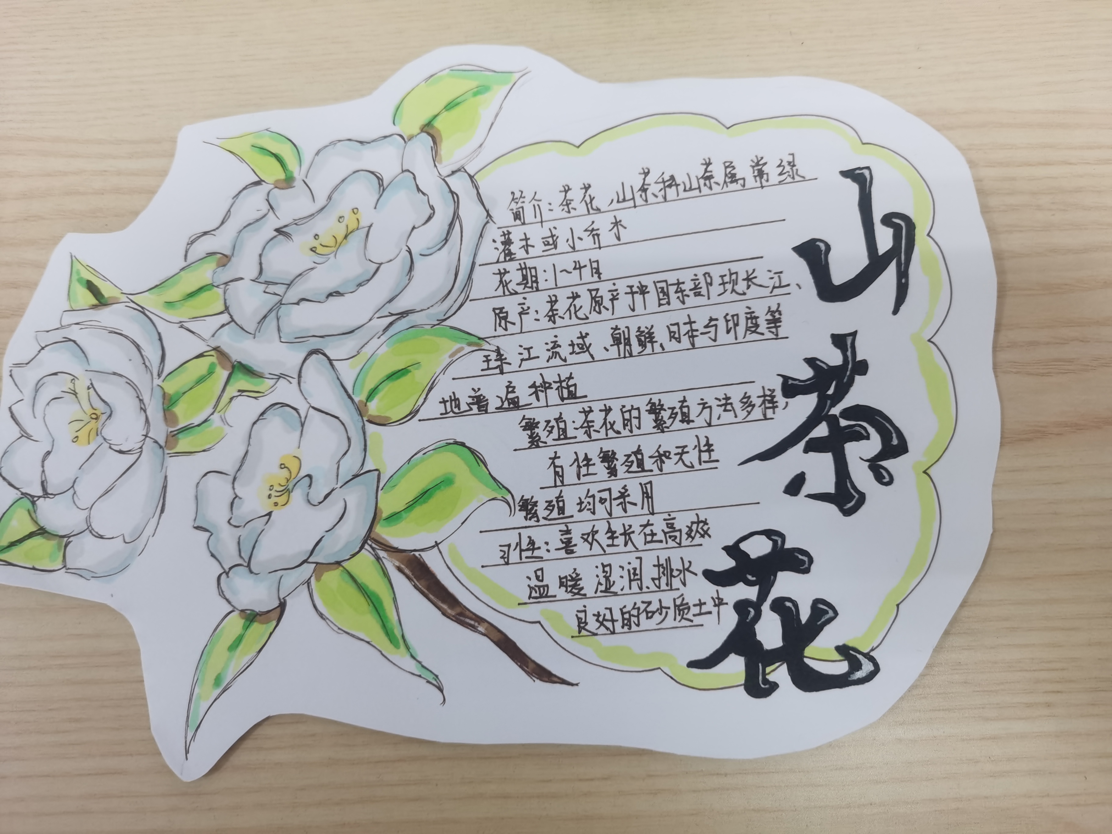 34王慧然