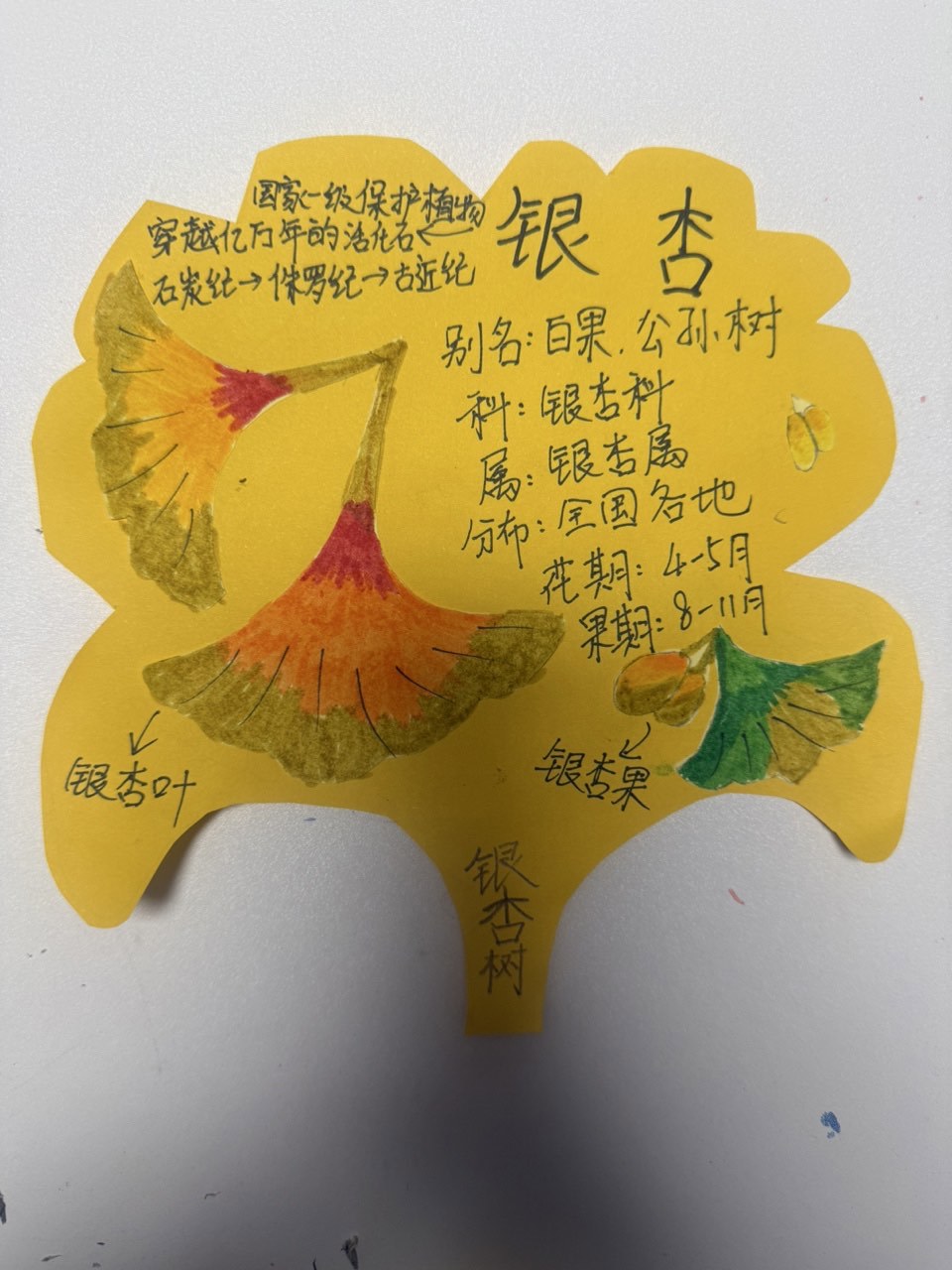 7号郭铭煜
