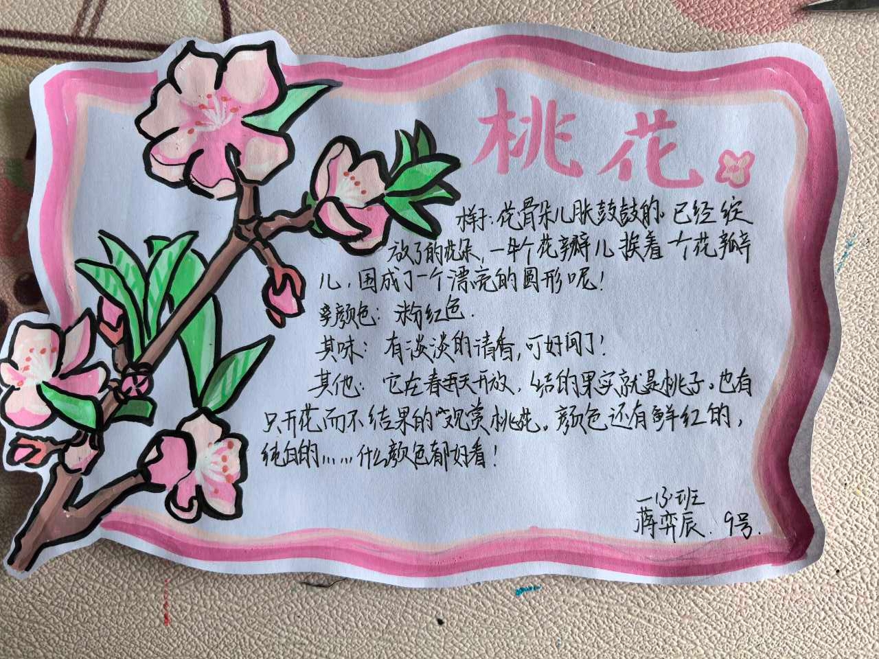 蒋弈辰