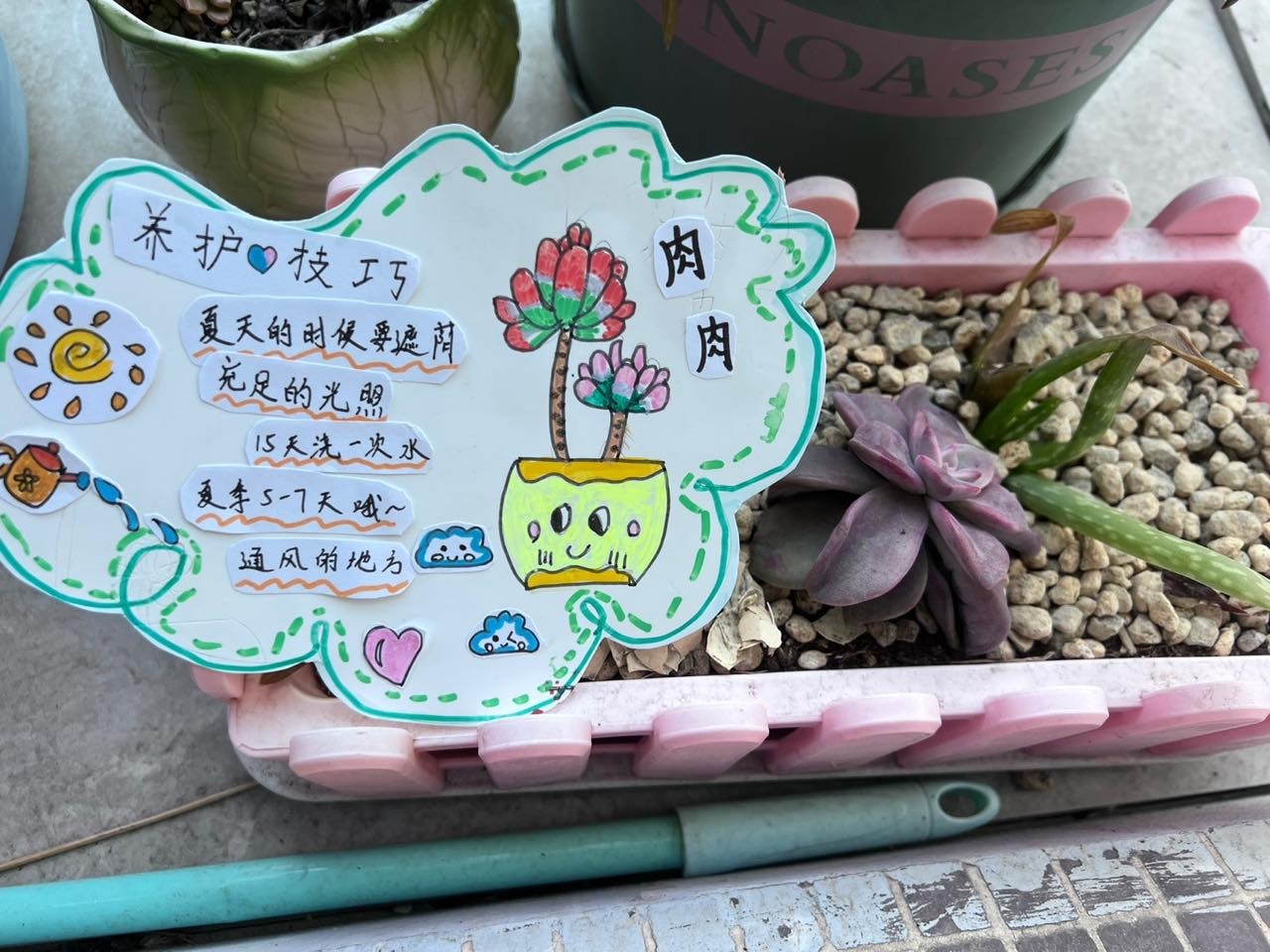 31吕佳妮